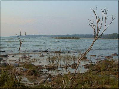 A Look North from the Southern Point of Greenes' Bay