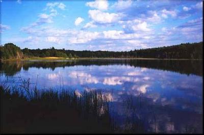 barneys lake