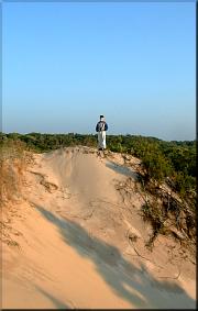 dunes3